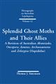 Splendid Ghost Moths and their Allies: A Revision of Australian Abantiades, Oncopera, Aenetus, Archaeoaenetus and Zelotypia (Hepialidae)