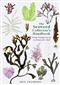 The Seaweed Collector's Handbook: From Purple Laver to Peacock's Tail