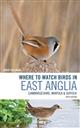 Where to Watch Birds in East Anglia: Cambridgeshire, Norfolk and Suffolk