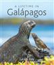 A Lifetime in Galapagos