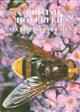 British Hoverflies 2nd Supplement