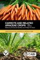 Carrots and Related Apiaceae Crops