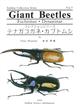 Giant Beetles. Euchirinae, Dynastinae