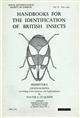 Hemiptera Cicadomorpha (excluding Deltocephalinae and Typhlocybinae) (Handbooks for the Identification of British Insects 2/2a)
