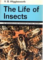 The Life of Insects