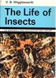 The Life of Insects