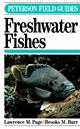 A Field Guide to Freshwater Fishes: North America North of Mexico