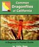 Common Dragonflies of California: A Beginner's Pocket Guide