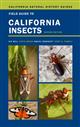 Field Guide to California Insects