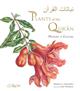 Plants of the Quran: History & Culture