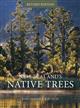 New Zealand's Native Trees