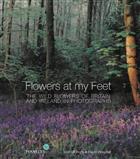 Flowers at my Feet: The Wild Flowers of Britain and Ireland in Photographs