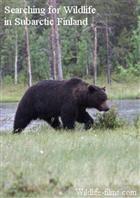 Searching for Wildlife in Subarctic Finland