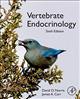 Vertebrate Endocrinology