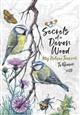 Secrets of a Devon Wood: My Nature Journal