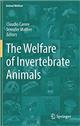The Welfare of Invertebrate Animals: Animal Welfare 18