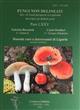 Fungi Non Delineati 75: Russule rari o interessante di Liguria - secondo contributo