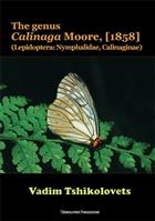 The genus Calinaga Moore, [1858] (Lepidoptera: Nymphalidae, Calinaginae)