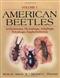 American Beetles. Vol. 1: Archostemata, Myxophaga, Adephaga, Polyphaga: Staphyliniformia