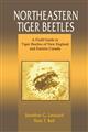 Northeastern Tiger Beetles: A Field Guide to Tiger Beetles of New England and Eastern Canada