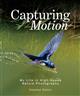 Capturing Motion: My Life in High Speed Nature Photography