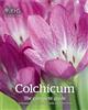 Colchicum: The Complete Guide