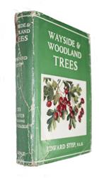 Wayside and Woodland Trees: A Guide to the British Sylva