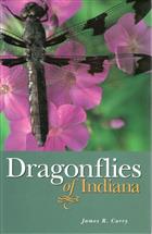 Dragonflies of Indiana