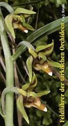 Feldführer der Türkischen Orchideen [Field Guide to the Orchids of Turkey]