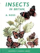 Insects in Britain