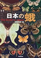 The Moths in Japan 日本の蛾