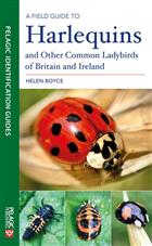 A Field Guide to Harlequins and other Common Ladybirds of Britain and Ireland