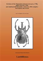 Revision of the Megasoma actaeon (Linnaeus, 1758), janus Felsche, 1906, and ramirezorum Silvestre & Arnaud, 2002 complex: description and review