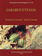 Carabus d'Italia