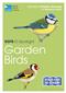 RSPB ID Spotlight - Garden Birds