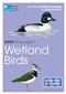 RSPB ID Spotlight - Wetland Birds