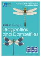 RSPB ID Spotlight - Dragonflies and Damselflies