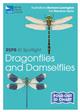 RSPB ID Spotlight - Dragonflies and Damselflies