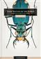 Tiger Beetles of the World: Illustrated Guide to the Genera