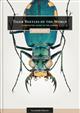 Tiger Beetles of the World: Illustrated Guide to the Genera