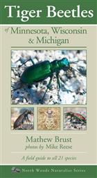 Tiger Beetles of Minnesota, Wisconsin & Michigan