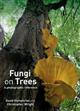 Fungi on Trees: A photographic reference