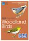 RSPB ID Spotlight - Woodland Birds