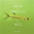 Fishes of the Orinoco in the Wild