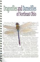 Dragonflies and Damselflies of Northeast Ohio