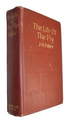 The Life of the Fly with which are interspersed Chapters of Autobiography