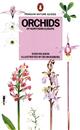 Orchids of Northern Europe (Penguin Nature Guides)