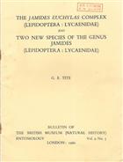 The Jamides euchylas complex (Lepidoptera: Lycaenidae) and Two new species of the genus Jamides (Lepidoptera: Lycaenidae)