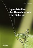 Jugendstadien der Heuschrecken der Schweiz [Immature Stages of the Grasshoppers of Switzerland]