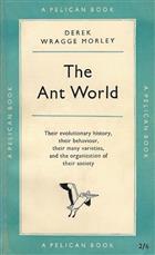 The Ant World